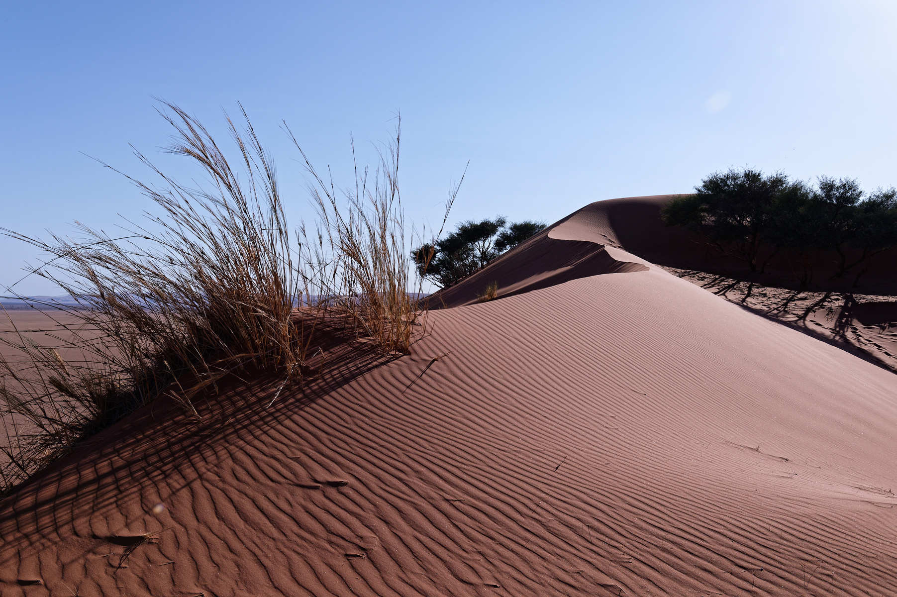 Namibie_Elim-Dune_02