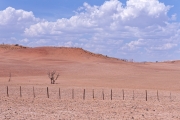 Namibie-Nabib-Naukluft-Park_11