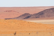 Namibie_Kanaan_02