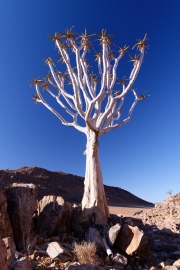 Namibie_Kanaan_08