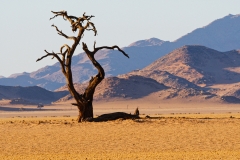 Namibie_Kanaan_09