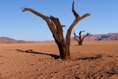 Namibie_Kanaan_16