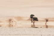 Namibie_mirage_04