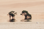 Namibie_mirage_05