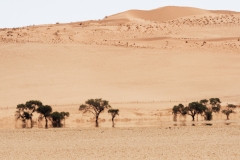 Namibie_mirage_02