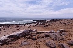 Namibie_Cape-Cross_01