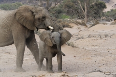 Namibie_Damaraland_03