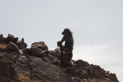 Namibie_Damaraland_07