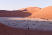 Namibie_Deadvlei_12