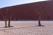 Namibie_Deadvlei_17