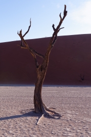 Namibie_Deadvlei_18