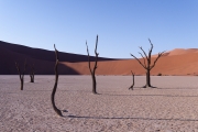 Namibie_Deadvlei_19