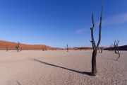 Namibie_Deadvlei_21