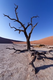 Namibie_Deadvlei_23