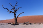 Namibie_Deadvlei_24