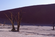 Namibie_Deadvlei_26