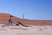 Namibie_Deadvlei_27