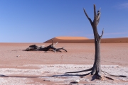 Namibie_Deadvlei_28