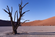 Namibie_Deadvlei_30