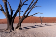 Namibie_Deadvlei_31