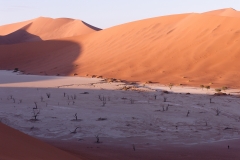 Namibie_Deadvlei_09