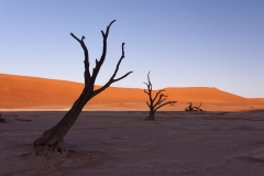 Namibie_Deadvlei_13