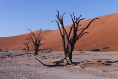 Namibie_Deadvlei_14