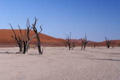 Namibie_Deadvlei_15