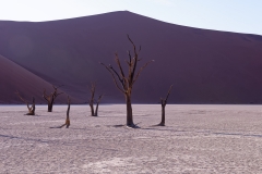 Namibie_Deadvlei_16