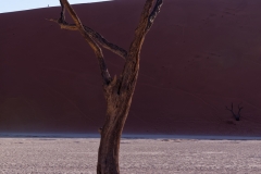 Namibie_Deadvlei_18