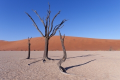 Namibie_Deadvlei_20