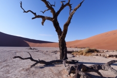 Namibie_Deadvlei_23