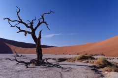 Namibie_Deadvlei_25