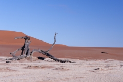 Namibie_Deadvlei_27