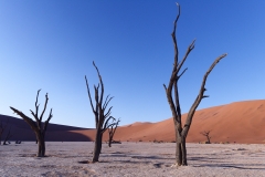 Namibie_Deadvlei_29