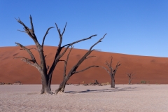 Namibie_Deadvlei_32