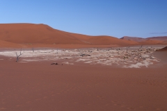 Namibie_Deadvlei_33