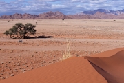 Namibie_Elim-Dune_01