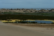 Namibie_Sandwich-bay_03