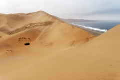 Namibie_Sandwich-bay_17