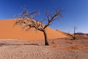 Namibie_Sossuvlei_05