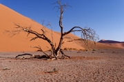 Namibie_Sossuvlei_07