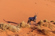 Namibie_Sossuvlei_11