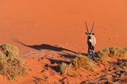 Namibie_Sossuvlei_12