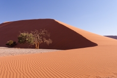 Namibie_Sossuvlei_03