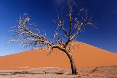 Namibie_Sossuvlei_06