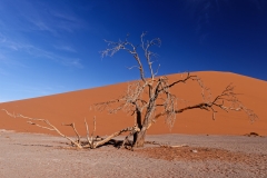 Namibie_Sossuvlei_08