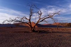 Namibie_Sossuvlei_13