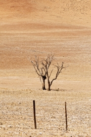 Namibie-Nabib-Naukluft-Park_13