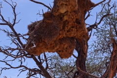 Namibie-Nabib-Naukluft-Park_03